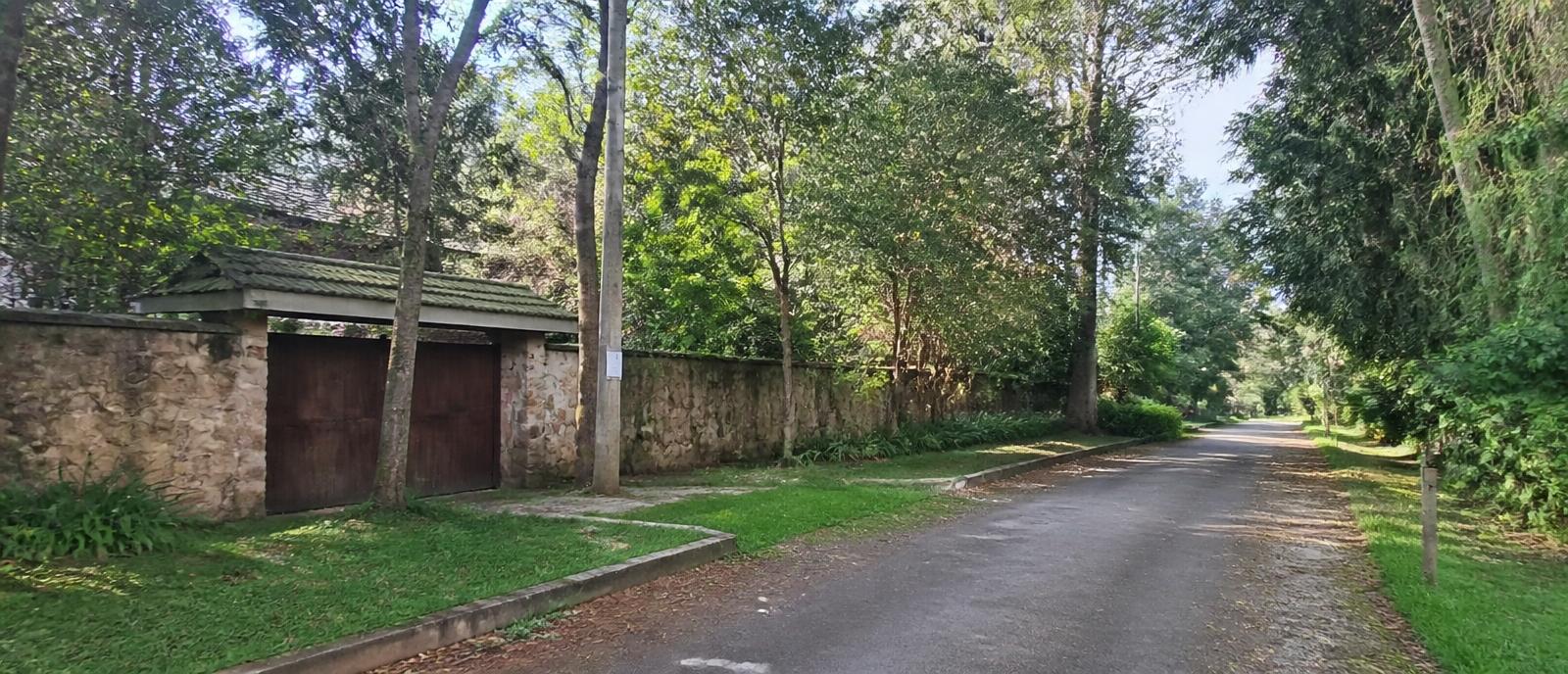 A residential street in Karen, Nairobi