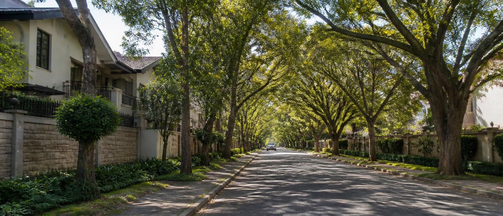 Street scene in Lavington, Nairobi